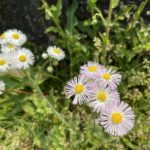 生き辛い時にはあなたの心の声に耳を傾けよう