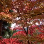 ひとりでいると不安になってしまうあなたへ